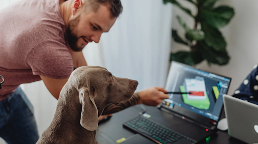 Online Dog Training Courses