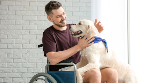 Service Dogs to Thrive